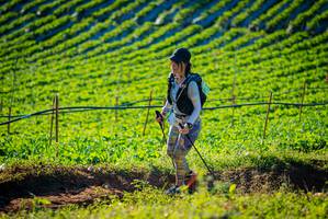 BIB: 
                            <button type="button" onclick="openModal(19160273)" class="btn btn-primary btn-sm float-right btn-popup" data-toggle="modal" data-target=".modal-high-quality">
                        <i class="fas fa-shopping-cart"></i> Add to Cart
                    </button>
                                            <button type="button" onclick="isThisMe(19160273, true)" class="btn btn-success btn-sm float-right btn-popup btn-isme hidden" data-toggle="tooltip" data-placement="bottom" title="นี่คือรูปของคุณใช่ไหม คลิกที่นี่เพื่อเอาเข้าอัลบั้ม">
                        <i class="fas fa-plus"></i> Add to album
                    </button>
                    <button type="button" onclick="isThisMe(19160273, false)" class="btn btn-warning btn-sm float-right btn-popup btn-isnotme hidden">
                        <i class="fas fa-ban"></i> Remove from album
                    </button>